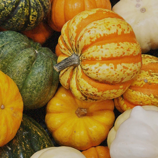 Some pumpkins