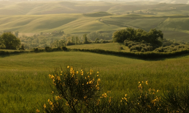A picture of the countryside of Lucca